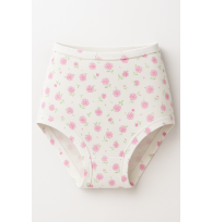 Da.-Slip Taille bedruckt freigestellt vorne